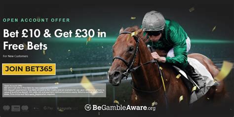 bet365 cheltenham betting - Cheltenham festival betting